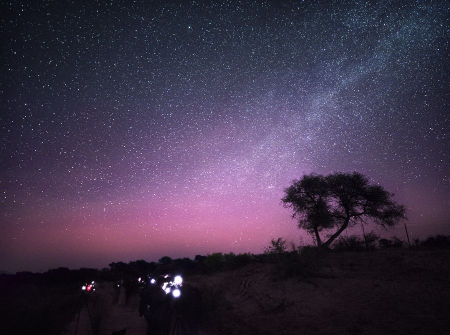 向海自然保护区的夜空，粉紫色的极光辉光笼罩地平线，上方横着银河，右侧一棵树的黑影