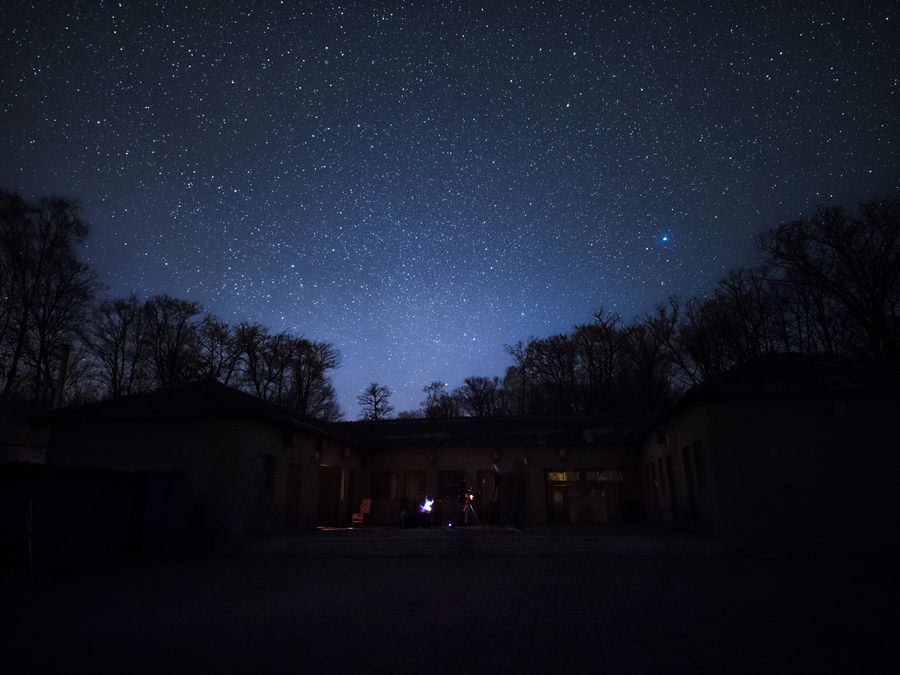 大酱缸村口，树影映在星空下，地面只剩微弱的轮廓